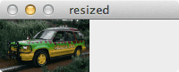 Figure 3: We have now resized the image to 100px wide.