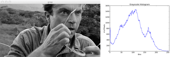 Figure 1: Dr. Grant Grayscale Histogram