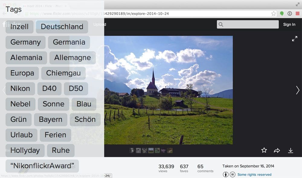Figure 1: Example of a search by meta-deta image search engine. Notice how keywords and tags are manually attributed to the image.