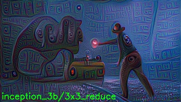 Figure 4: The same goes for the inception_3b/3x3_reduce layer.